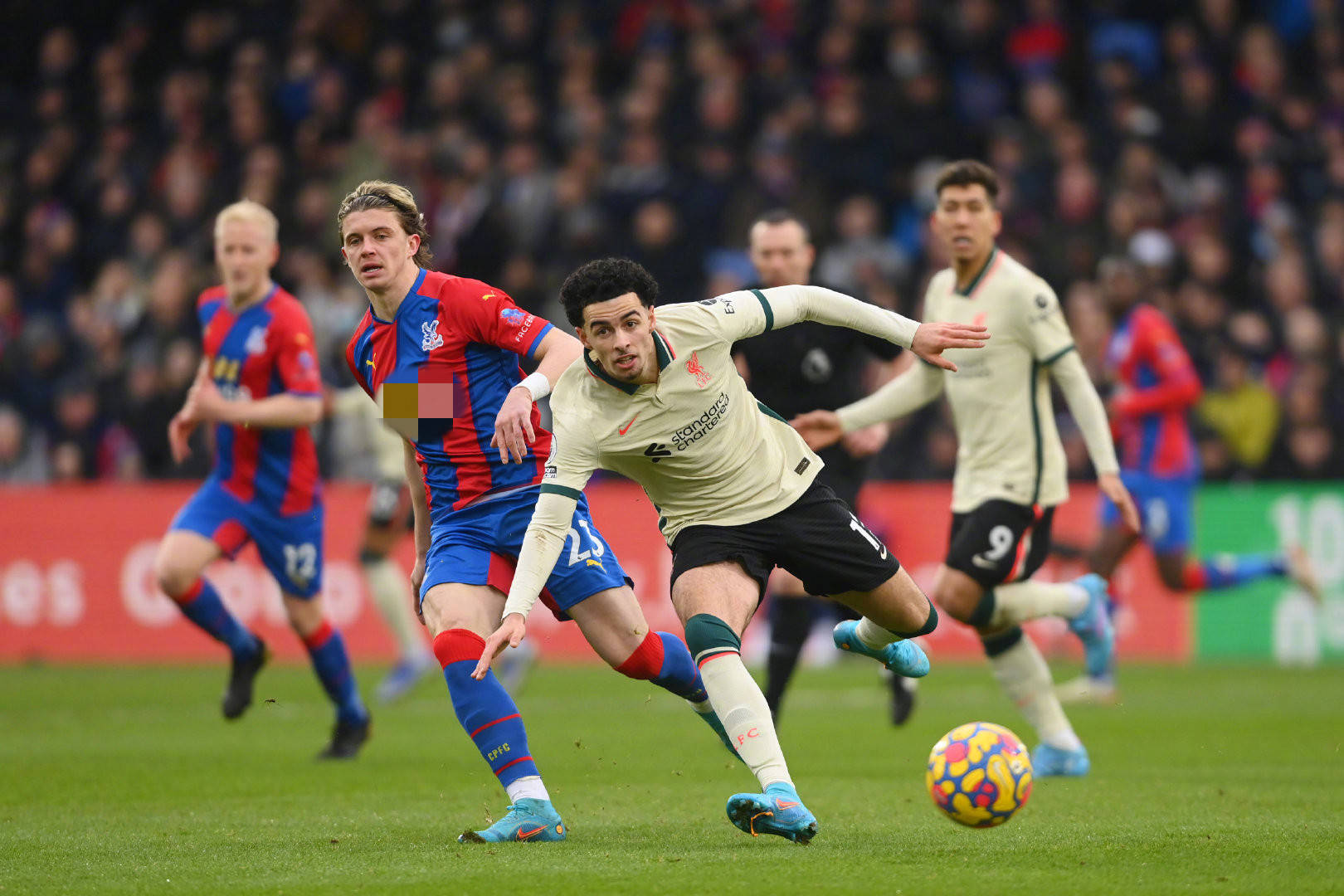 仅反映了他 仅反映了他