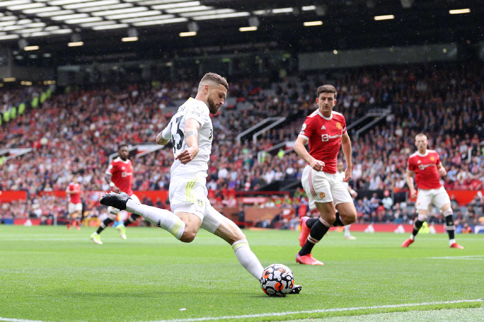 并为本土锋 并为本土锋