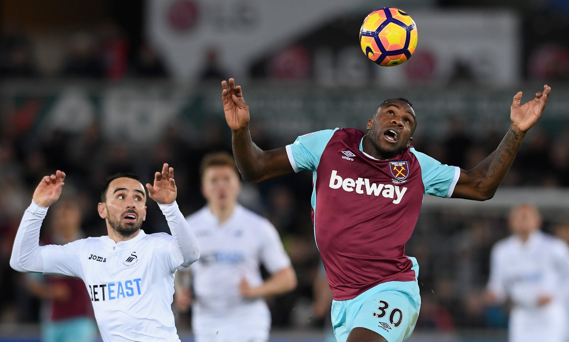 不仅可以看 不仅可以看