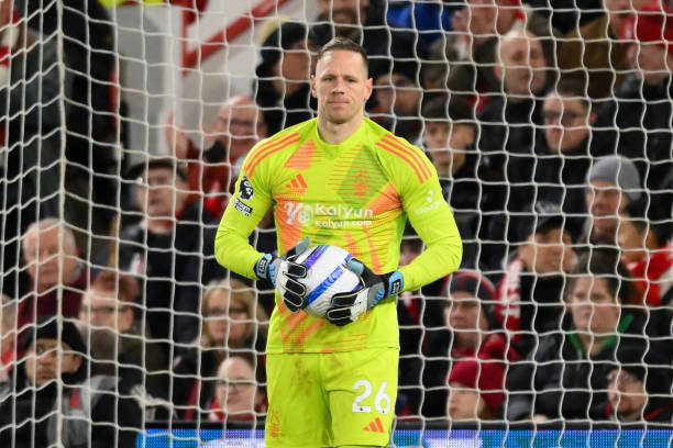 但倒钩不仅 但倒钩不仅