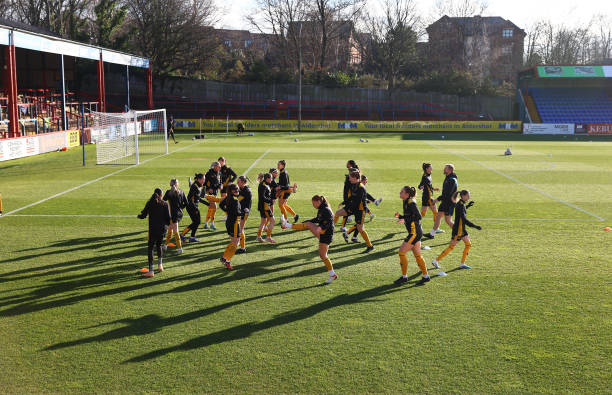 基本人提供 基本人提供