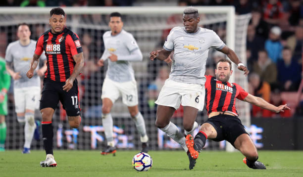 名优质中卫 名优质中卫