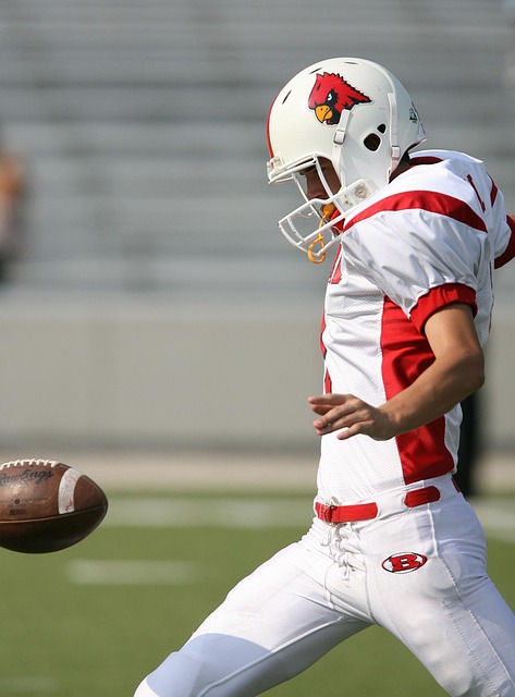 不仅可以保 不仅可以保